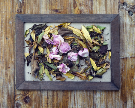 concept autumn picture frames of different colors, flowers and leavesの写真素材