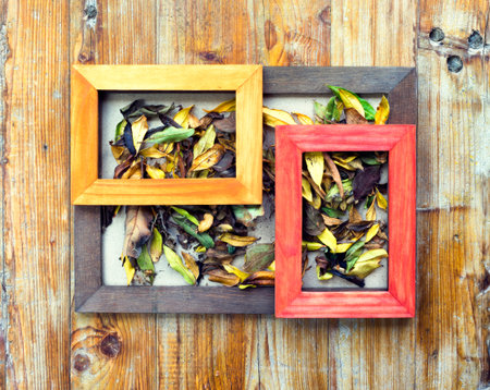 concept autumn picture frames of different colors, flowers and leaves