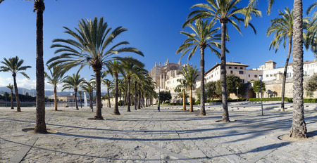 Majorca cathedral in Balearic Islandsの写真素材
