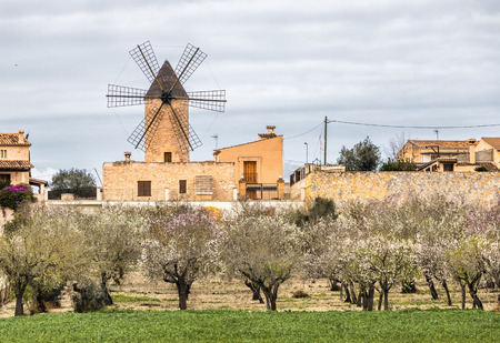 traditional windmill in Mallorca, Balearic Islands, Spainの写真素材