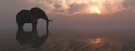 3D illustration of an elephant and sunsetの写真素材