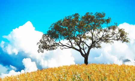 3d illustration of sunset and tree in flower field