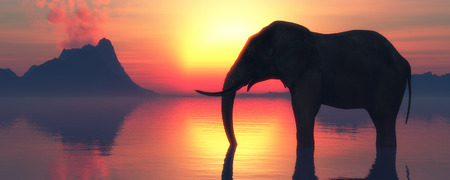 3D illustration of an elephant and sunsetの写真素材
