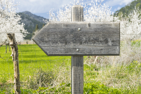 trunk and wooden sign indicating の写真素材