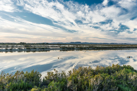 Ses salines in colonia sant jordi, mallorca, balearic islands