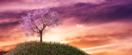 3d illustration of almond trees in a grassy fieldの写真素材