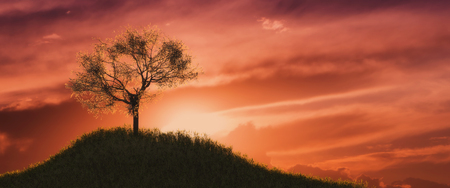 3d illustration of almond trees in a grassy fieldの写真素材