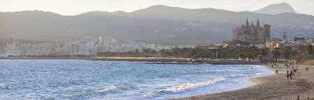 people walking on the palm beachの写真素材