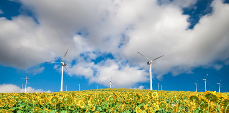 3d illustration of wind generators and sunflowers