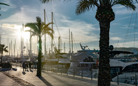 yachts and boats in the harbor