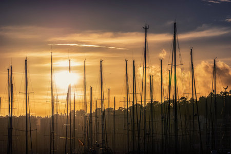 sailboats mast in the port