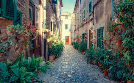 Typical street of Valldemossa, Majorca, Spain