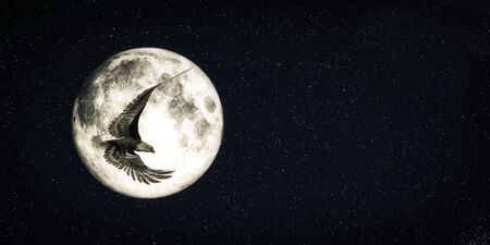 3d illustration of eagle flying with the moon in the backgroundの写真素材