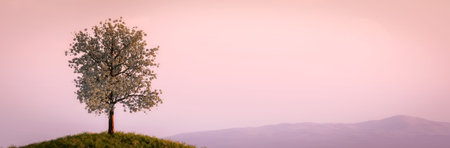 flower tree and sunset 3d illustration