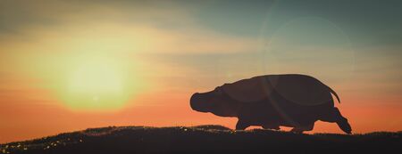 3d illustration, hippopotamus in the wildの写真素材