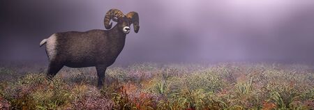 3d illustration of a goat in the fieldの写真素材
