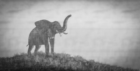 3D illustration of an elephantの写真素材