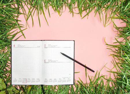 foresight and organization concept in nature, agenda and grassの写真素材