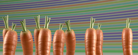 3d illustration, concept healthy eating, carrotの写真素材