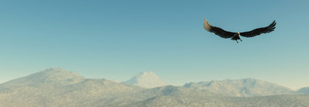 3d illustration Eagle flying in the clouds at dawn