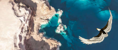 3d illustration Eagle flying in the clouds at dawnの写真素材