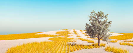 3d illustration of a lonely tree in a cultivated fieldの写真素材