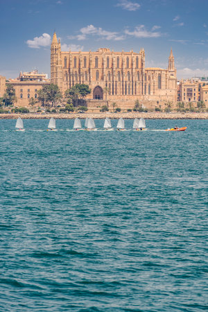 Majestic Majorca Cathedral Overlooking a Regatta of Sailing Dinghies on Azure Watersの写真素材