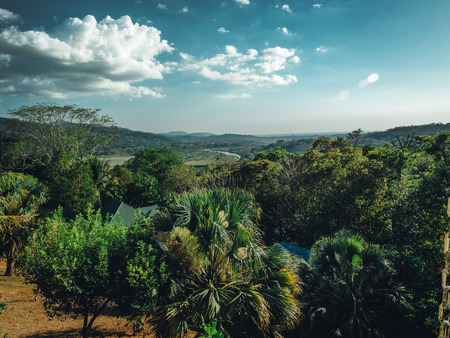 View of the tropical forest, blue sky and white clouds.の写真素材