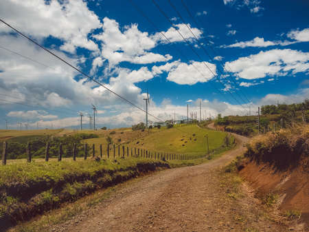 Field of wind turbines on dirt roadの写真素材