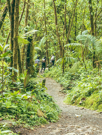 Walkers on muddy path in the tropical jungleの写真素材