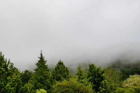 Green pins with mist and copyspace