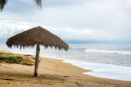 Background landscape with umbrella of palm leaves on the beachの写真素材