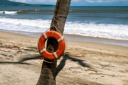 A Lifebuoy hanging on a palm tree with a beach in the backgroundの写真素材