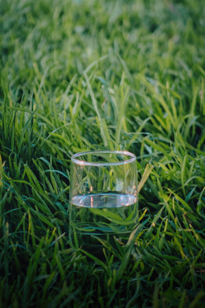 A Glass of water in green grass with copyspace on topの写真素材
