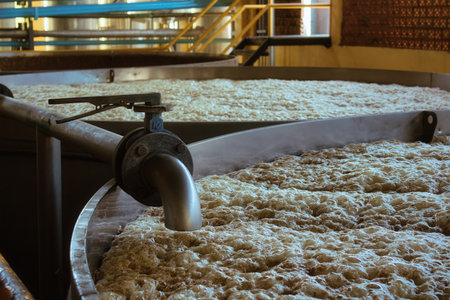 A Blue agave (Agave tequilana) mosto (must) ferments in a stainless tank prior to tequila distillationの写真素材