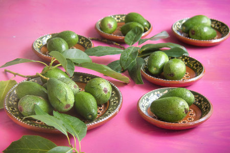 A Avocados texture with pink vintage backgroundの写真素材