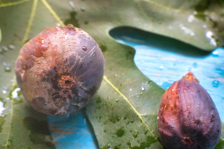 A Fig texture with blue vintage backgroundの写真素材