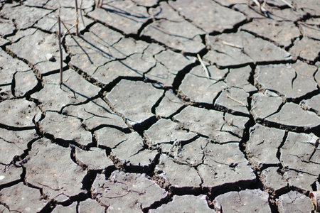 A Texture of dry cracked soil with copy spaceの写真素材