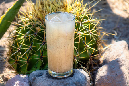 A Guamiche drink Ferocactus wislizenii typical of guanajuato mexicoの写真素材