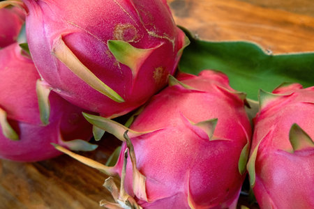 A dragon fruit in agricultural farm in Mexicoの写真素材
