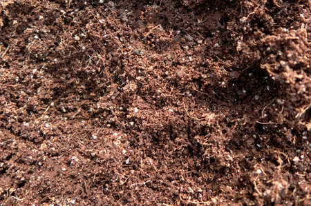 A Substratum texture pattern background for garden agricultureの写真素材