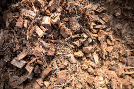 A Substratum texture pattern background for garden agricultureの写真素材