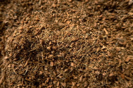 A Substratum texture pattern background for garden agricultureの写真素材