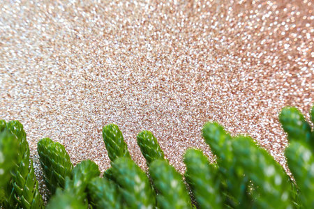 A Christmas pine leaves with space for text and shiny backgroundの写真素材
