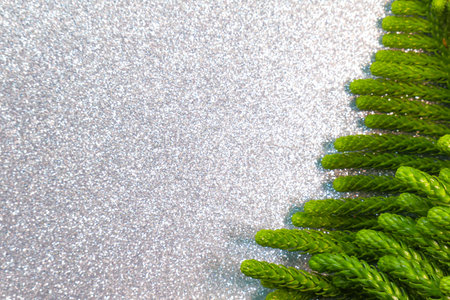 A Christmas pine leaves with space for text and shiny backgroundの写真素材