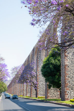 A Queretaro Mexico aqueduct with jacaranda tree and purple flowersの写真素材