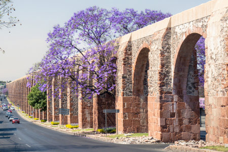 A Queretaro Mexico aqueduct with jacaranda tree and purple flowersの写真素材