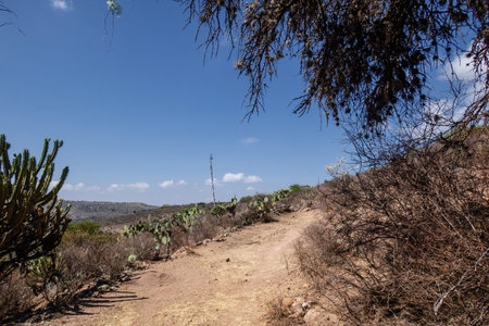 A dirt road leads to the mountains ideal for trail running in semi-desertの写真素材