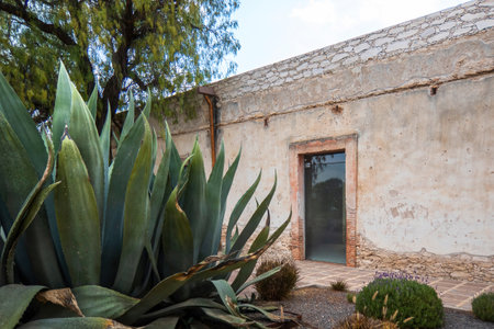 A Beautiful old rustic Mexican house with cacti and a blue sky of white cloudsの写真素材