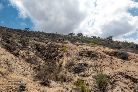A View of the desert valley from the top of the mountain.の写真素材
